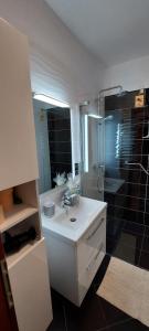 Kúpeľňa v ubytovaní Apartman Perunika + 37 fotografií