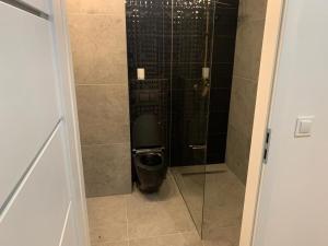 ein Bad mit Dusche und WC in der Unterkunft Apartament Corner Śrem in Śrem