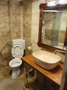 a bathroom with a sink and a toilet and a mirror at Rooms Poienita in Slănic-Moldova