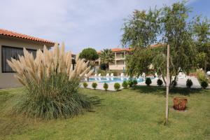podwórko z basenem z drzewem i budynek w obiekcie Kalives Resort w mieście Kalivia Poligirou