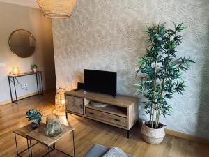 a living room with a tv on a cabinet and a plant at Apartamento Aldeana in Llanes