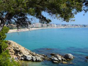 Fotografia z galérie ubytovania Apartment Riera by Interhome v destinácii Sant Antoni de Calonge