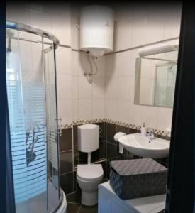 a bathroom with a toilet and a sink at Apartment Antea - private parking & garden in Čilipi