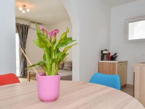 einen rosa Topf auf einem Holztisch mit Pflanze in der Unterkunft Apartment Aurora by Interhome in Maslenica