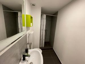 a bathroom with a sink and a toilet at ICE APARTMENT in Ljubljana