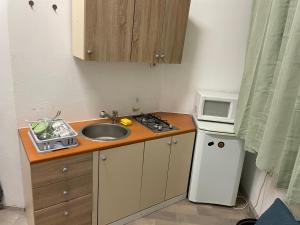 eine kleine Küche mit einer Spüle und einer Mikrowelle in der Unterkunft ICE APARTMENT in Ljubljana
