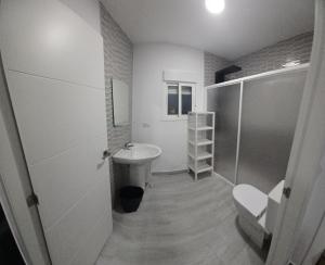 y baño con lavabo, ducha y aseo. en Apartamento mi currilla, en Sanlúcar de Barrameda