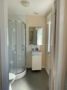a bathroom with a shower and a sink at Martyrs Bay Rooms in Iona