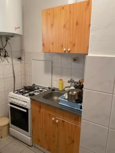Zsuzsa Apartman في بوروشلو: مطبخ صغير مع موقد ومغسلة