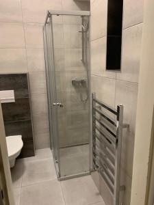 a shower stall in a bathroom with a toilet at Apartmán Bubeneč in Prague