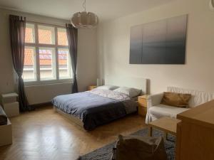 ein Wohnzimmer mit einem Bett und einem Sofa in der Unterkunft Apartmán Bubeneč in Prag
