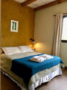 a bedroom with a bed with blue sheets and a window at Color Local Cabañas in San Javier