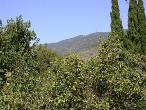 Φυσικό τοπίο κοντά σε αυτό το καταφύγιο