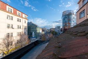 a view from the roof of a building at 5BD Duplex - Billiard - Home Cinema - Central in Prague