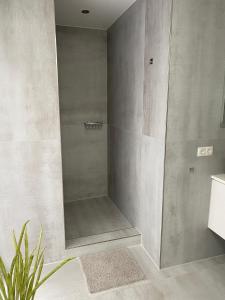 um chuveiro com uma porta de vidro na casa de banho em Apartments-Bocholt em Bocholt