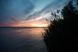 Zdjęcie z galerii obiektu LOGIS BORD D'ESTUAIRE w mieście Gauriac