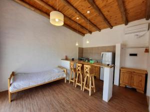 een keuken met een tafel en een aanrecht in een kamer bij Finca Los Racimos - Casa Syrah in San Rafael