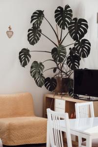 a living room with a table and a plant on the wall at Rural Carniola fairytale in Križe