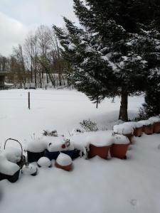 Ferienwohnung Eva v zimě
