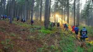 a group of people walking on a trail in the woods at Pine Forest Cottage in Sabie
