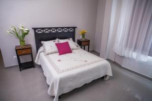 a bedroom with a large bed with a pink pillow at Hotel Bajamar Centro in Nerja