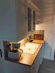 een keuken met een wastafel en een broodrooster op een aanrecht bij Studio «  La Mouette Rieuse » in Le Touquet-Paris-Plage