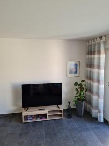 een flatscreen-tv in een woonkamer bij ElHa's FeWo in Gladbeck