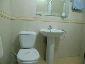 
a white toilet sitting next to a sink in a bathroom at Hellas Hotel in Kakopetria
