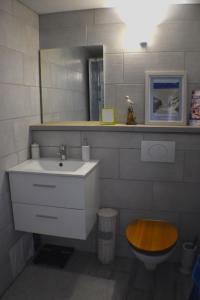 uma casa de banho com um lavatório e um WC em L'Occitania Chambre d'hotes em Puivert