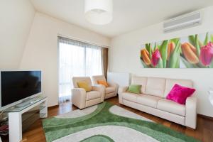 ein Wohnzimmer mit einem Sofa und einem TV in der Unterkunft Apartamenty Sun & Snow Ciągłówka in Zakopane