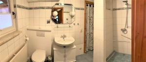 a bathroom with a sink and a toilet and a mirror at Töpferweg 06 Ferienwohnung Tine in Ahrenshoop