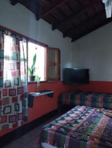 a bedroom with two beds and a window and a television at Cafetín-Hostal Rincón NICA in Granada