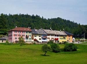 a group of buildings in a field with a tree at Casa Luciana nel cuore dell'Alpe(022102-AT-849663) in Bertoldi