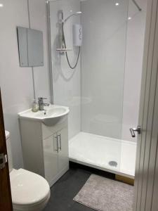 a bathroom with a shower and a toilet and a sink at The Panthouse Lodge in Felton +6 photos