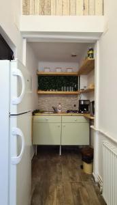Zeiss house في براشوف: مطبخ صغير مع مغسلة وثلاجة
