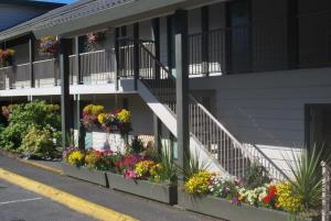 un edificio con cajas de flores en su lado en Pacific Rim Motel, en Ucluelet