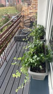 d'un balcon avec deux bancs et des plantes en pot. dans l'établissement Apartament Boho, à Międzyzdroje