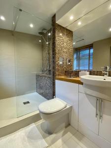 a bathroom with a toilet and a sink and a shower at Llandudno Boutique style seaside retreat with stunning views in Llandrillo-yn-Rhôs