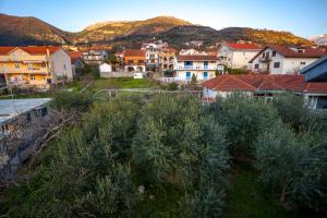 Naturlandskabet i nærheden af lejligheden