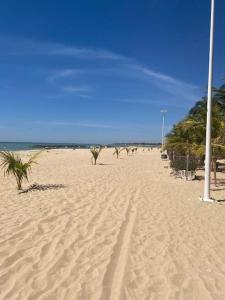 uma praia arenosa com palmeiras e o oceano em Case beach em Ngalou Sessène