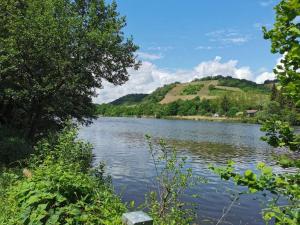 a view of a lake with hills in the background at Charmante Altbauwohnung in Bad Kreuznach in Bad Kreuznach