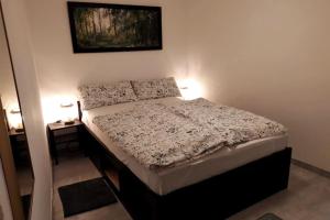 Cama ou camas em um quarto em Charmante Altbauwohnung in Bad Kreuznach