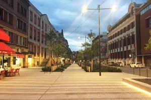 Foto dalla galleria di Cosy Maison de ville 100m2 - tout équipée et calme a Montauban