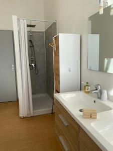 y baño con ducha, lavabo y lavamanos. en Demeure des Dentelles, en Le Puy en Velay