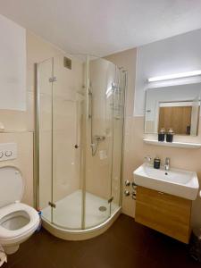 a bathroom with a shower and a toilet and a sink at Ferienwohnung David im Haus Waldblick - Bad Bergzabern in Bad Bergzabern