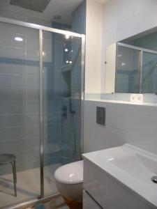 y baño con ducha, aseo y lavamanos. en Aux baboteurs GDF, en Vallon-en-Sully
