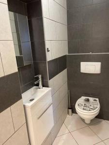 a bathroom with a toilet and a sink at Appartement plein centre ville st dié des Vosges in Saint Die