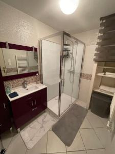 a bathroom with a shower and a sink at Appartement plein centre ville st dié des Vosges in Saint Die