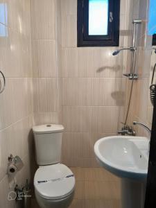 uma casa de banho com um WC e um lavatório em SULTAN SARAY OTEL em Safranbolu