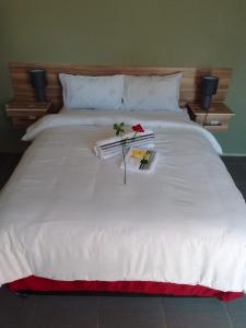 Gallery image of The Success Guest House in Standerton